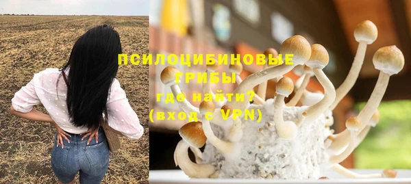 синтетический гашиш Козловка