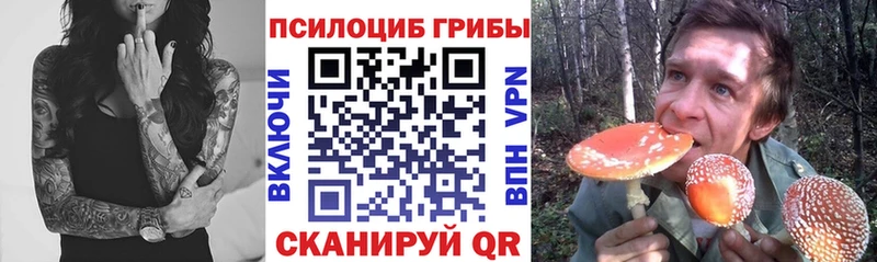 Псилоцибиновые грибы мицелий Кирсанов