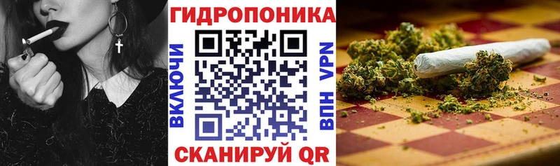 mega как зайти  купить наркотики сайты  Кирсанов  Бошки Шишки MAZAR 